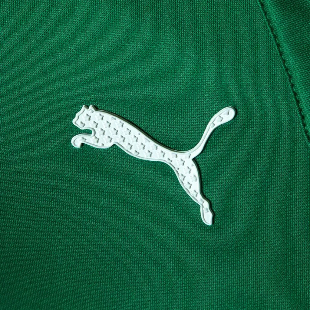 Camisa Masculina Palmeiras PUMA x Abel Motorsport 2023/24