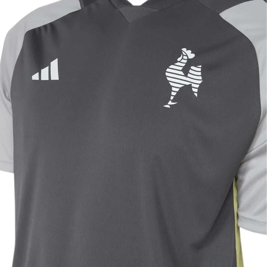 Camisa Masculina Atlético Mineiro Treino Comissão 2024/25