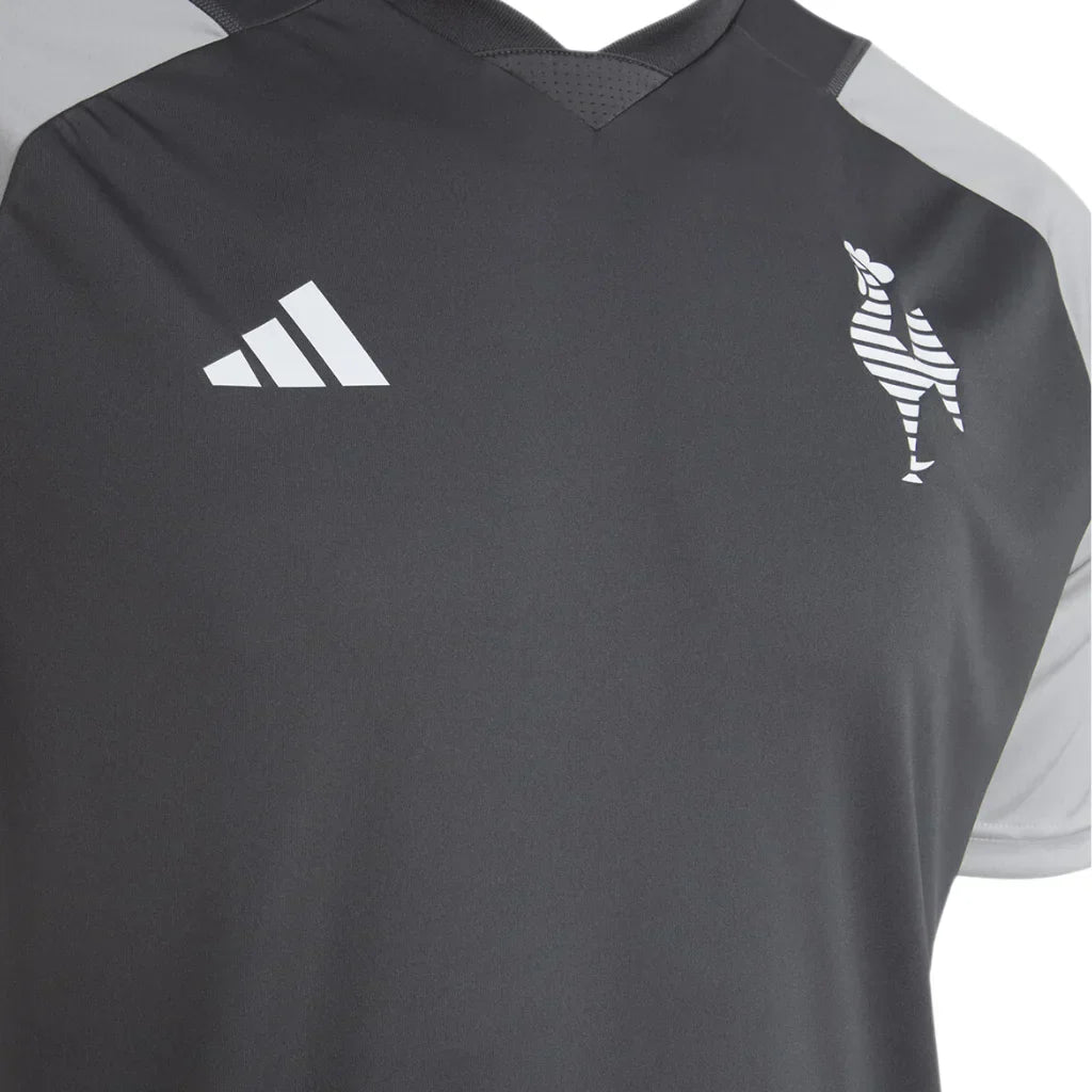 Camisa Masculina Atlético Mineiro Treino Comissão 2024/25