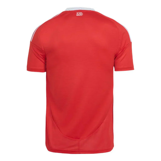 Camisa Masculina Internacional I 2025/26