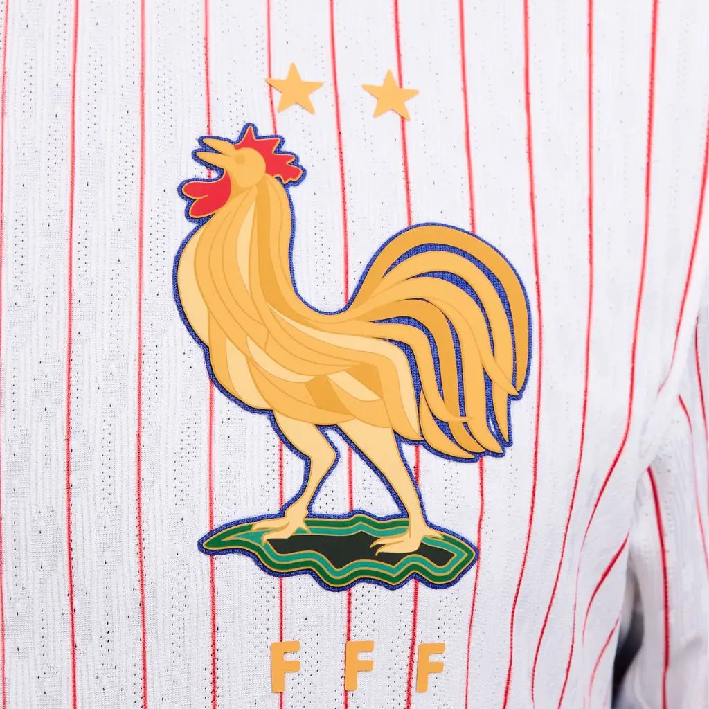 Camisa Masculina França II 2024/25
