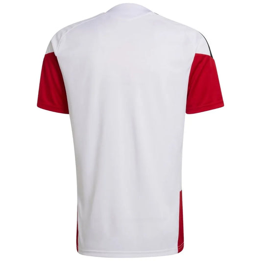 Camisa Masculina Alemanha Treino 2026/27