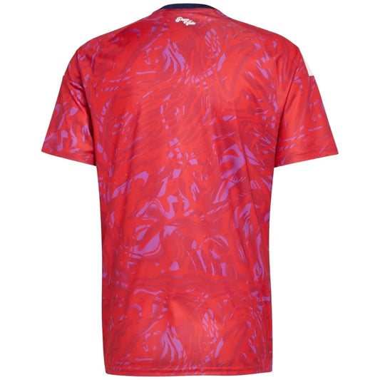 Camisa Masculina Costa Rica I 26