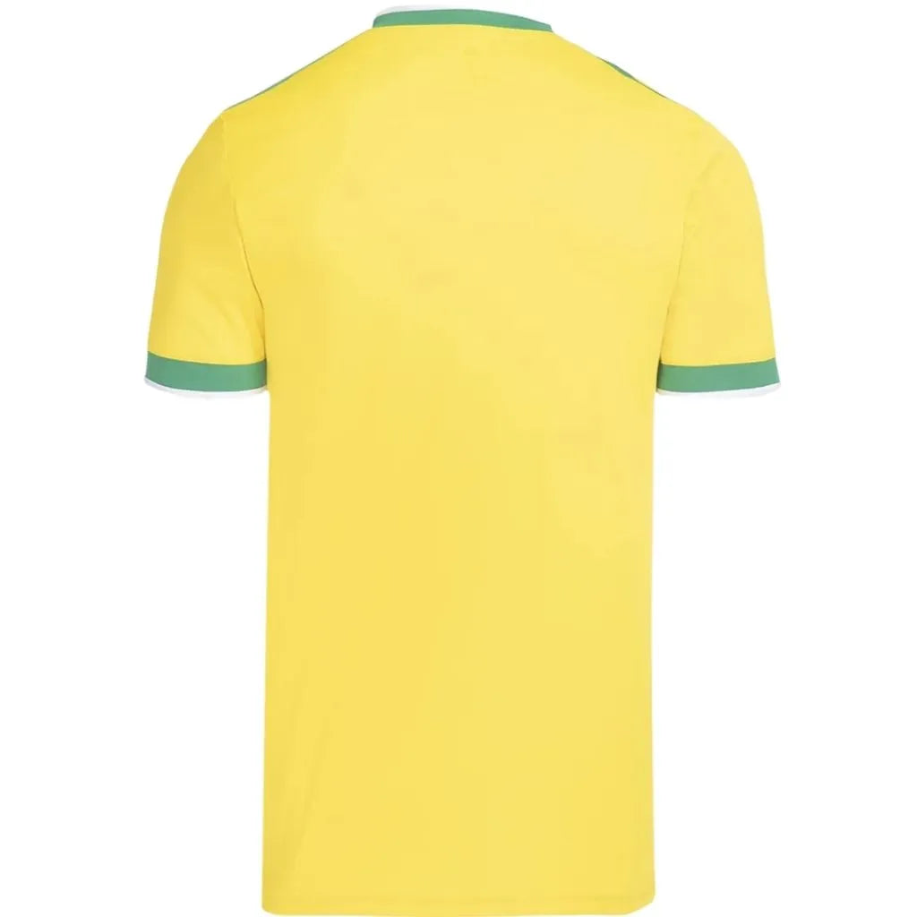 Camisa Masculina Flamengo Brasil 2026