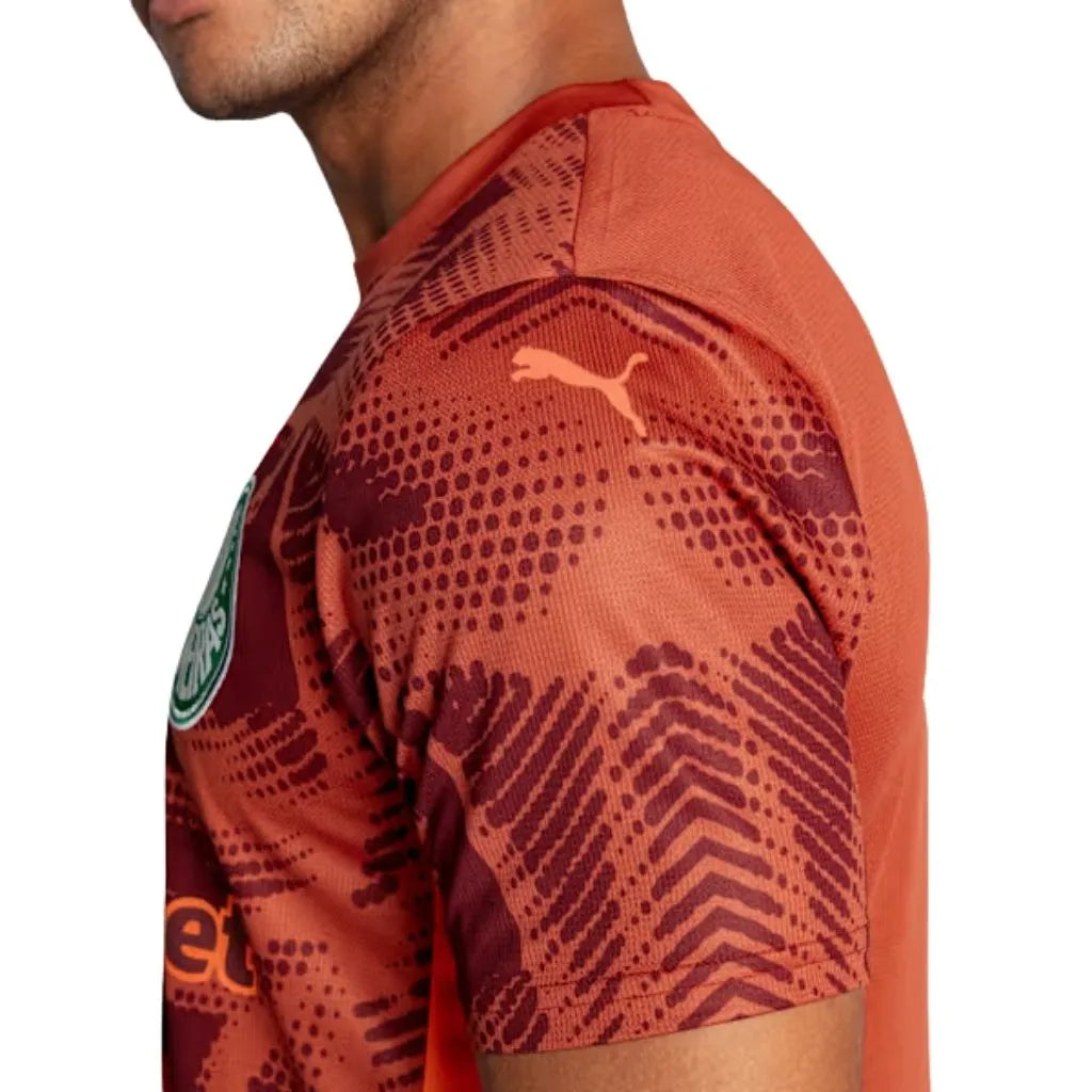 Camisa Masculina Palmeiras Goleiro Puma II 2025