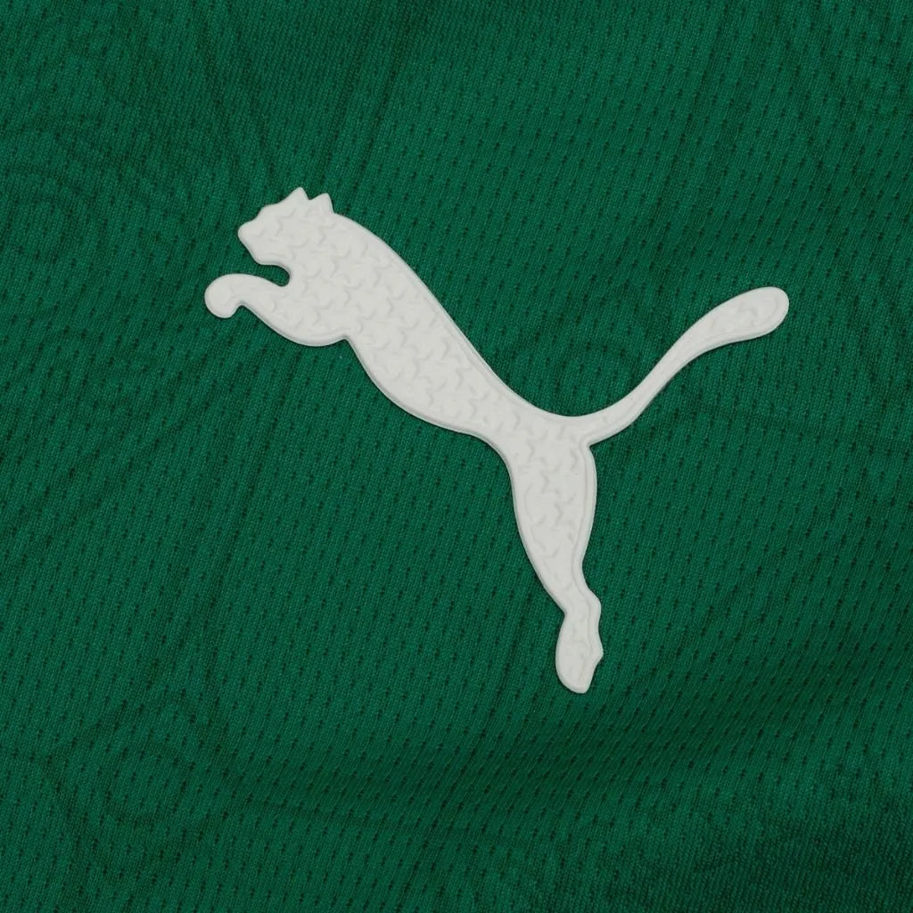Camisa Masculina Palmeiras Puma I 2025/26 Authentic