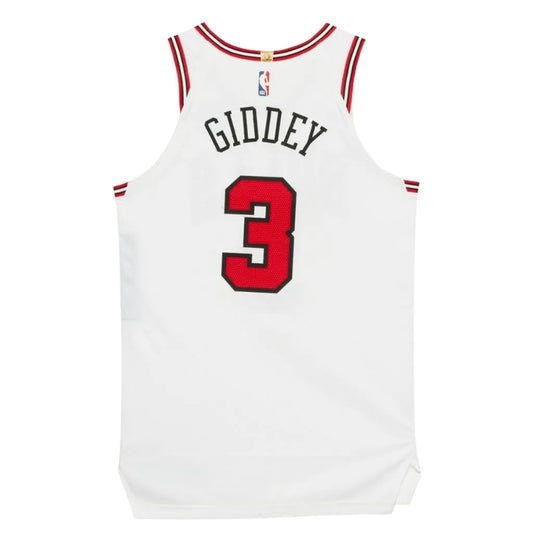 Camiseta NBA Chicago Bulls Association Edition