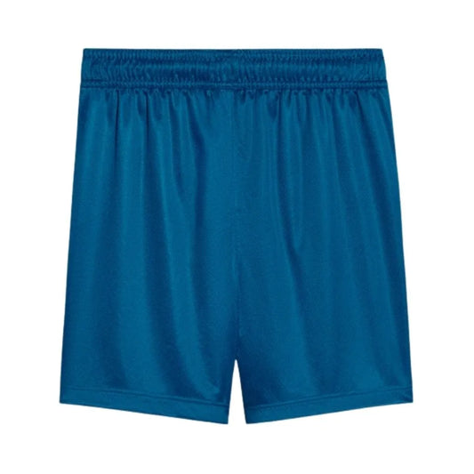 Short Masculino Palmeiras Puma III 2025