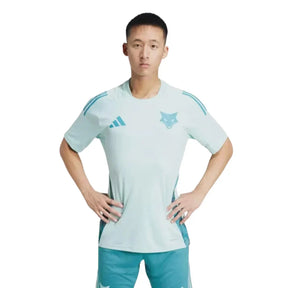 Camisa Masculina Cruzeiro Treino 2025