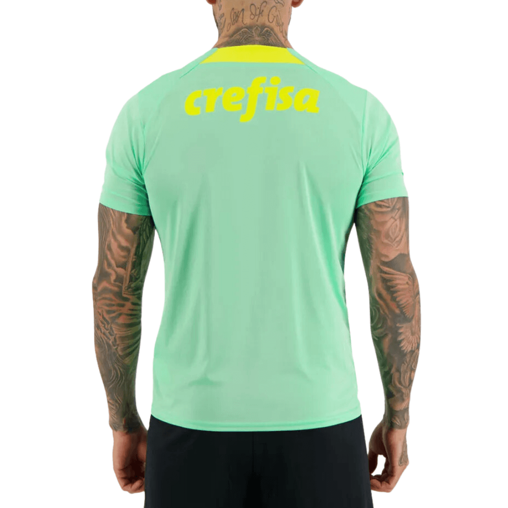 Camisa Masculina Palmeiras 2022/23