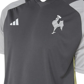 Camisa Masculina Atlético Mineiro Treino Comissão 2024/25
