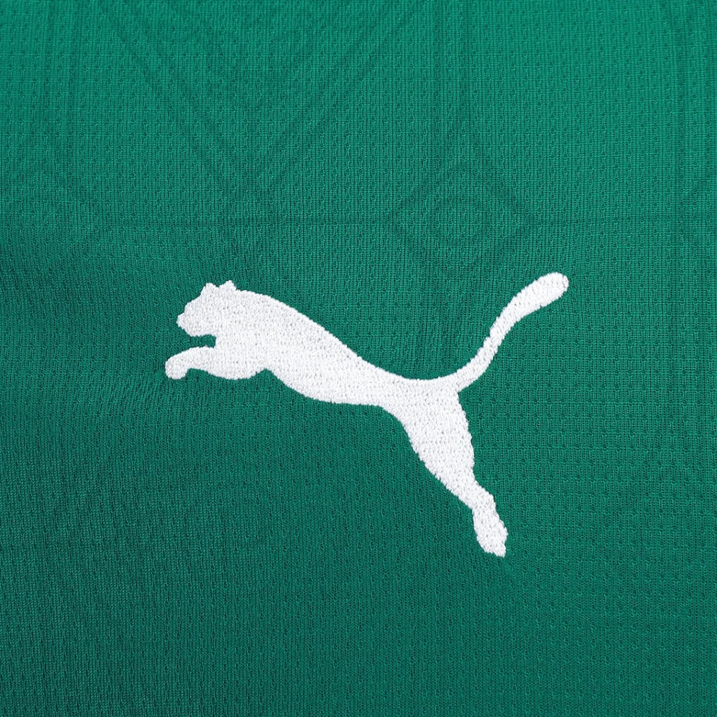 Camisa Masculina Palmeiras I 2025/26