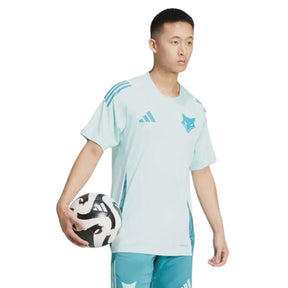 Camisa Masculina Cruzeiro Treino 2025