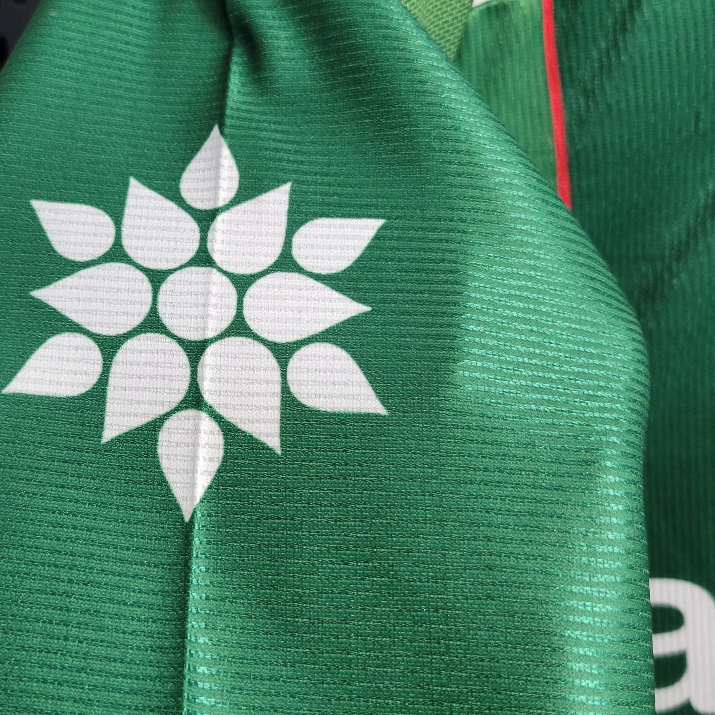Camisa Retrô Palmeiras I 1999