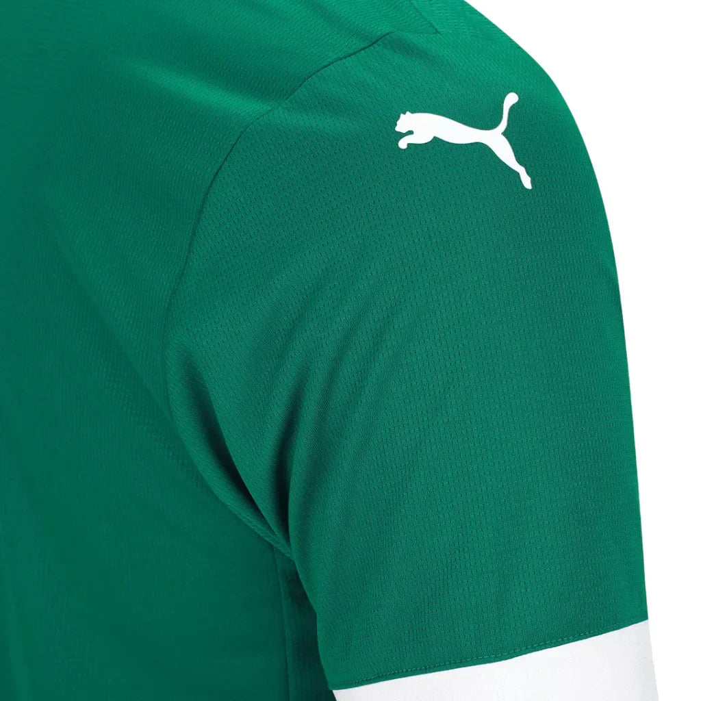 Camisa Masculina Palmeiras Puma I 2025/26