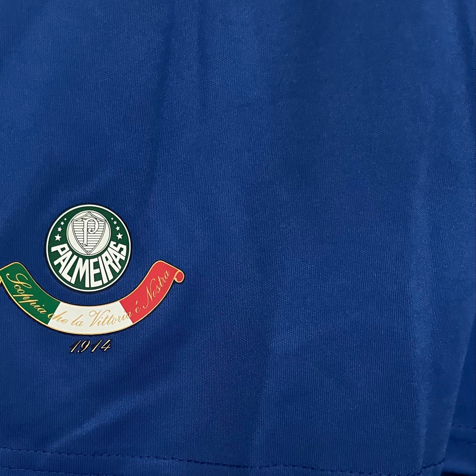 Camisa Retrô Palmeiras Savóia Blue Manga Longa 2009/10