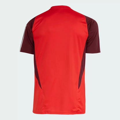 Camisa Masculina Internacional Treino 2024/25