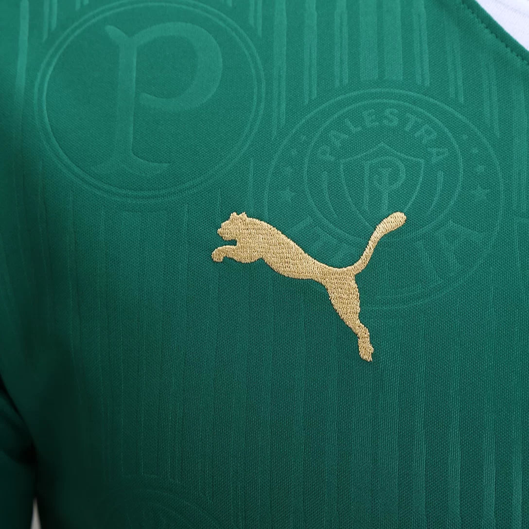 Camisa Masculina Palmeiras I 2024/25