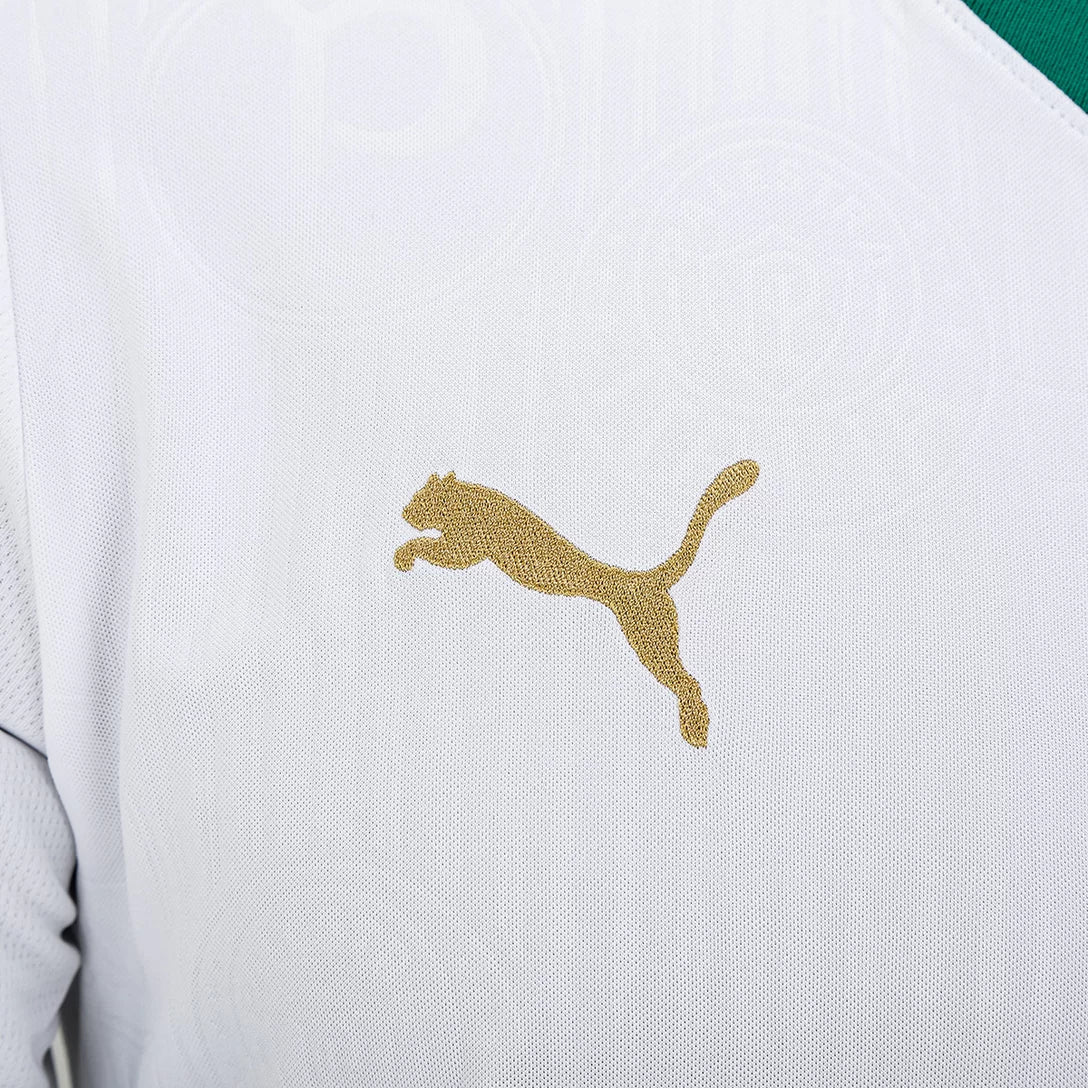 Camisa Masculina Palmeiras II 2024/25