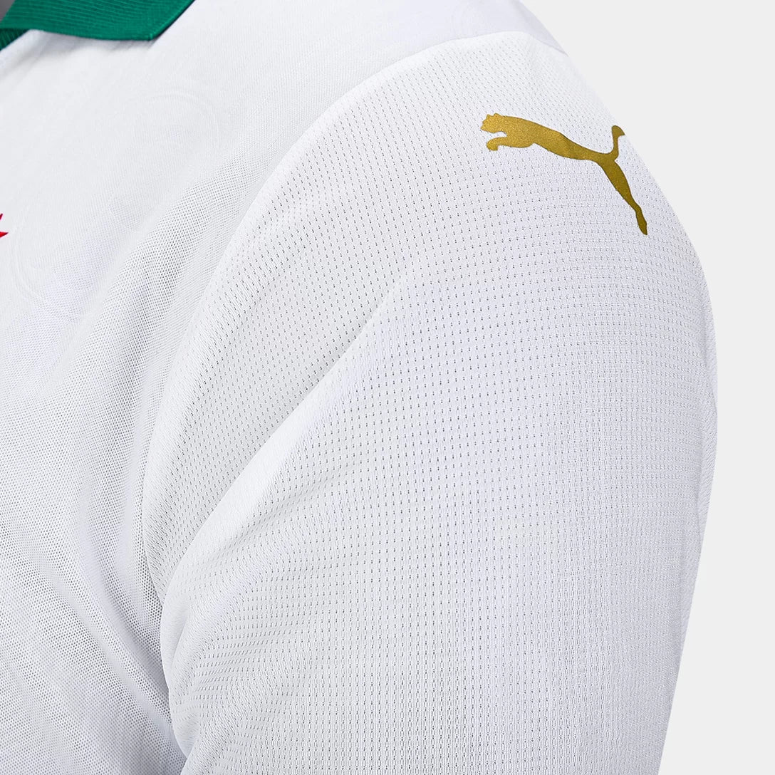 Camisa Masculina Palmeiras II 2024/25