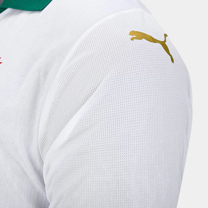 Camisa Masculina Palmeiras II 2024/25
