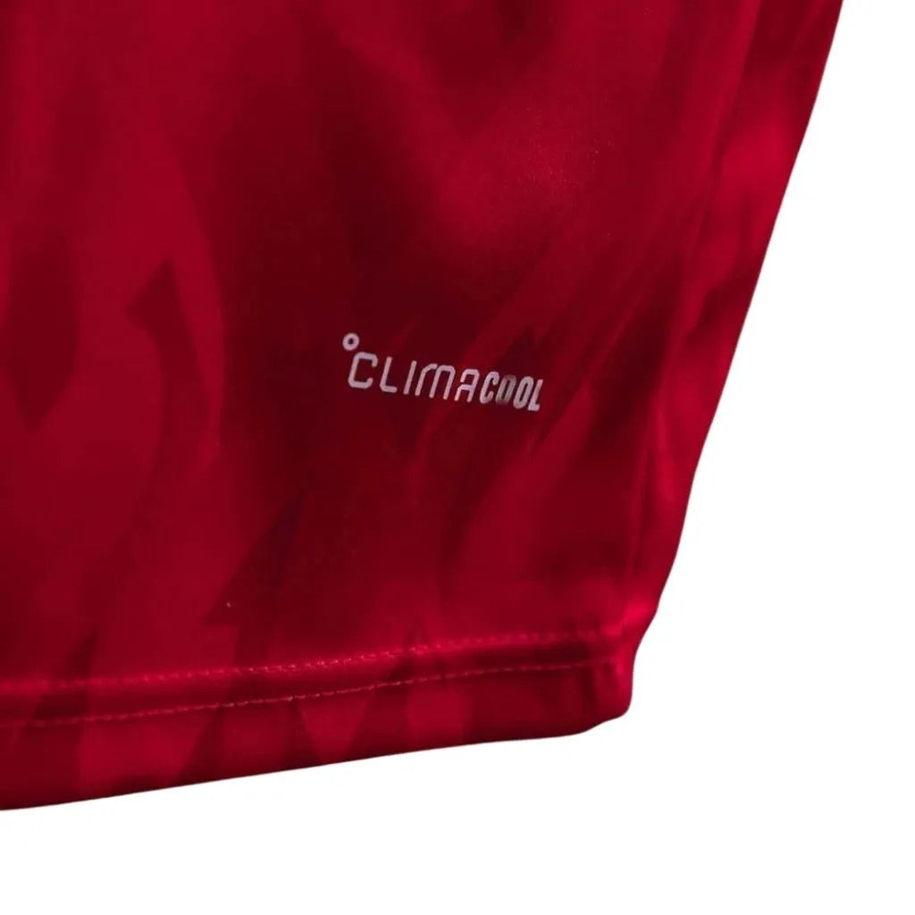 Camisa Masculina Bélgica I 26 Manga Longa