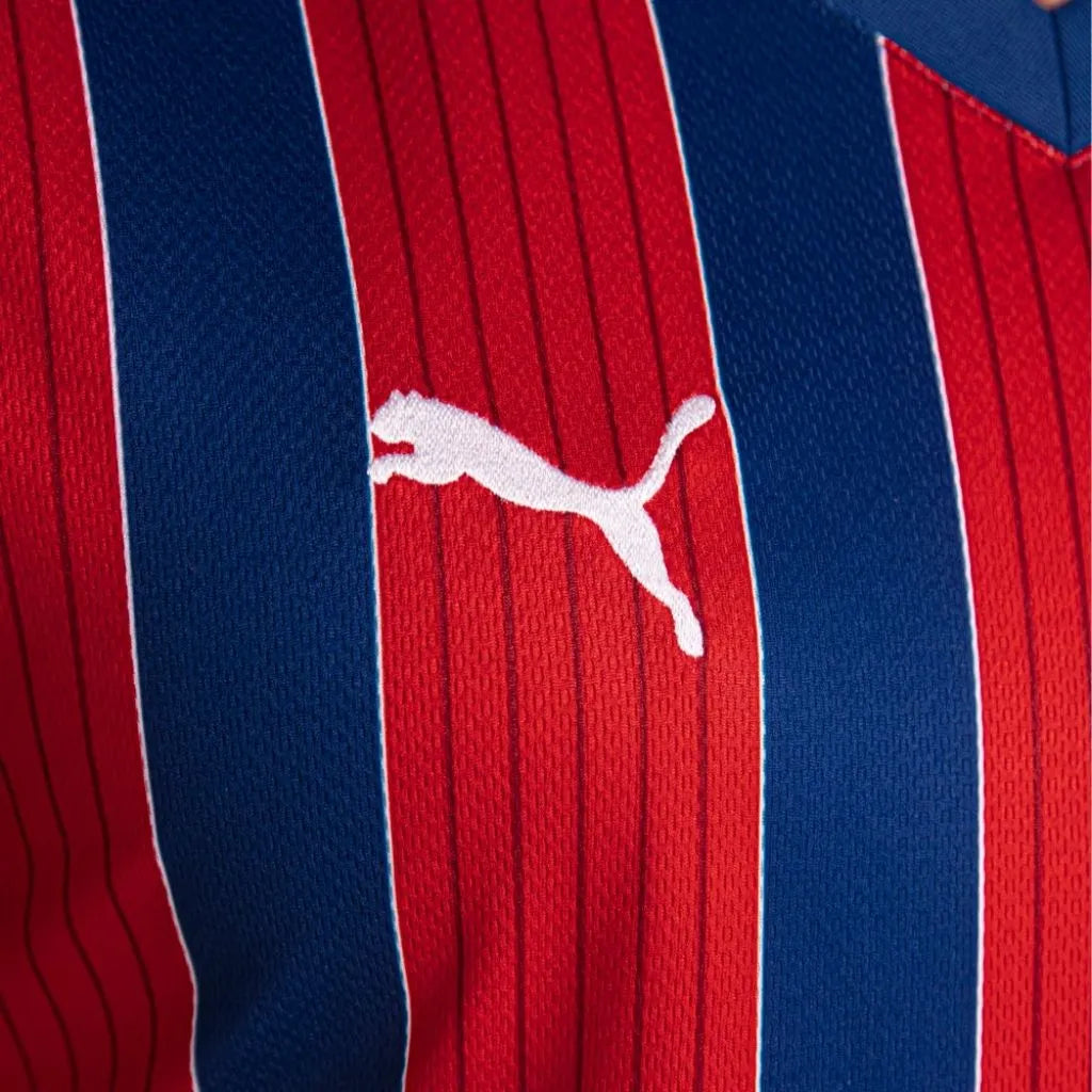 Camisa Masculina Bahia II 2025/26