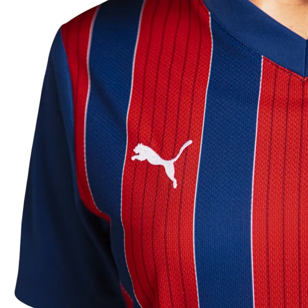 Camisa Feminina Bahia II 2025/26