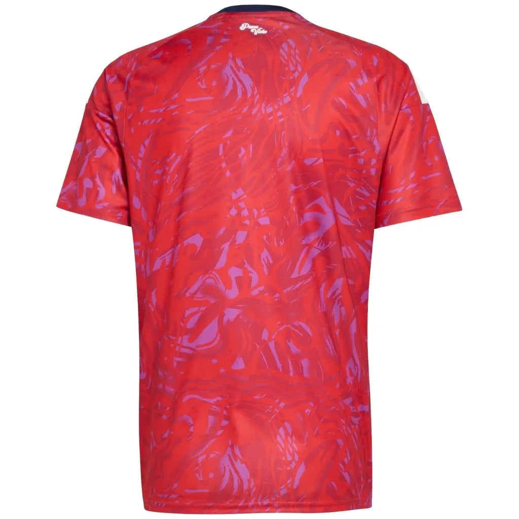 Camisa Masculina Costa Rica I 26