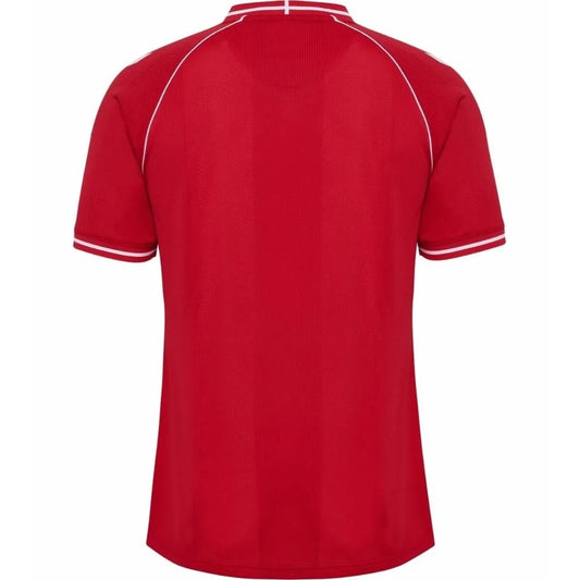Camisa Masculina Dinamarca I 26