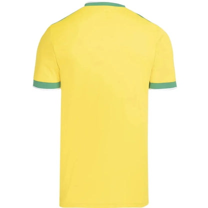 Camisa Masculina Flamengo Brasil 2026