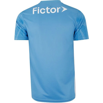 Camisa Masculina Palmeiras Goleiro Puma I 2025