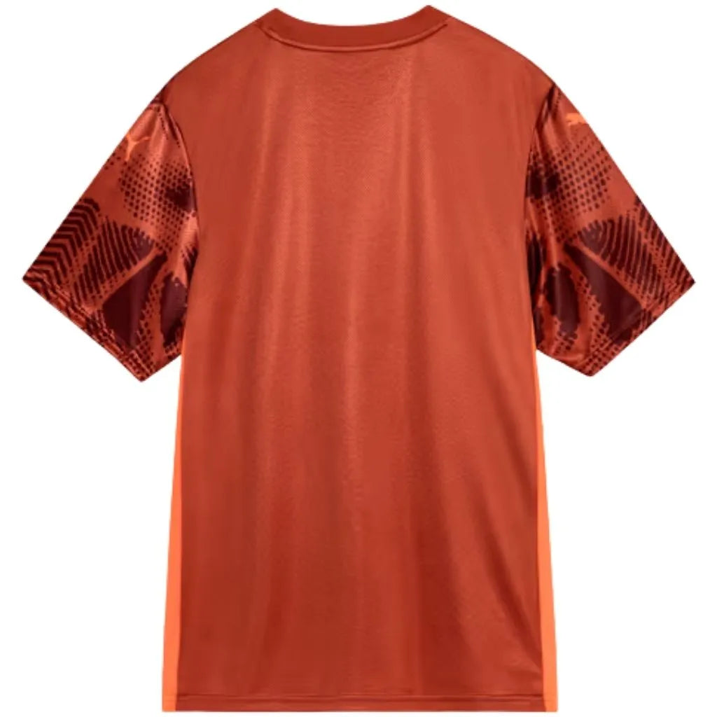 Camisa Masculina Palmeiras Goleiro Puma II 2025