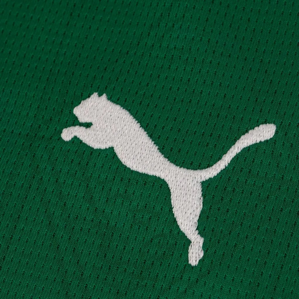 Camisa Masculina Palmeiras Puma I 2025/26 com Patch Libertadores