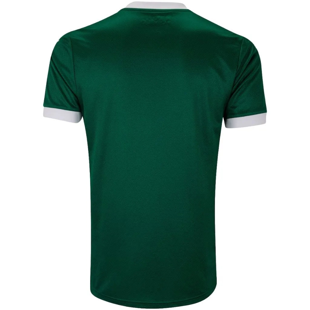 Camisa Masculina Palmeiras Puma I 2025/26 com Patch Mundial