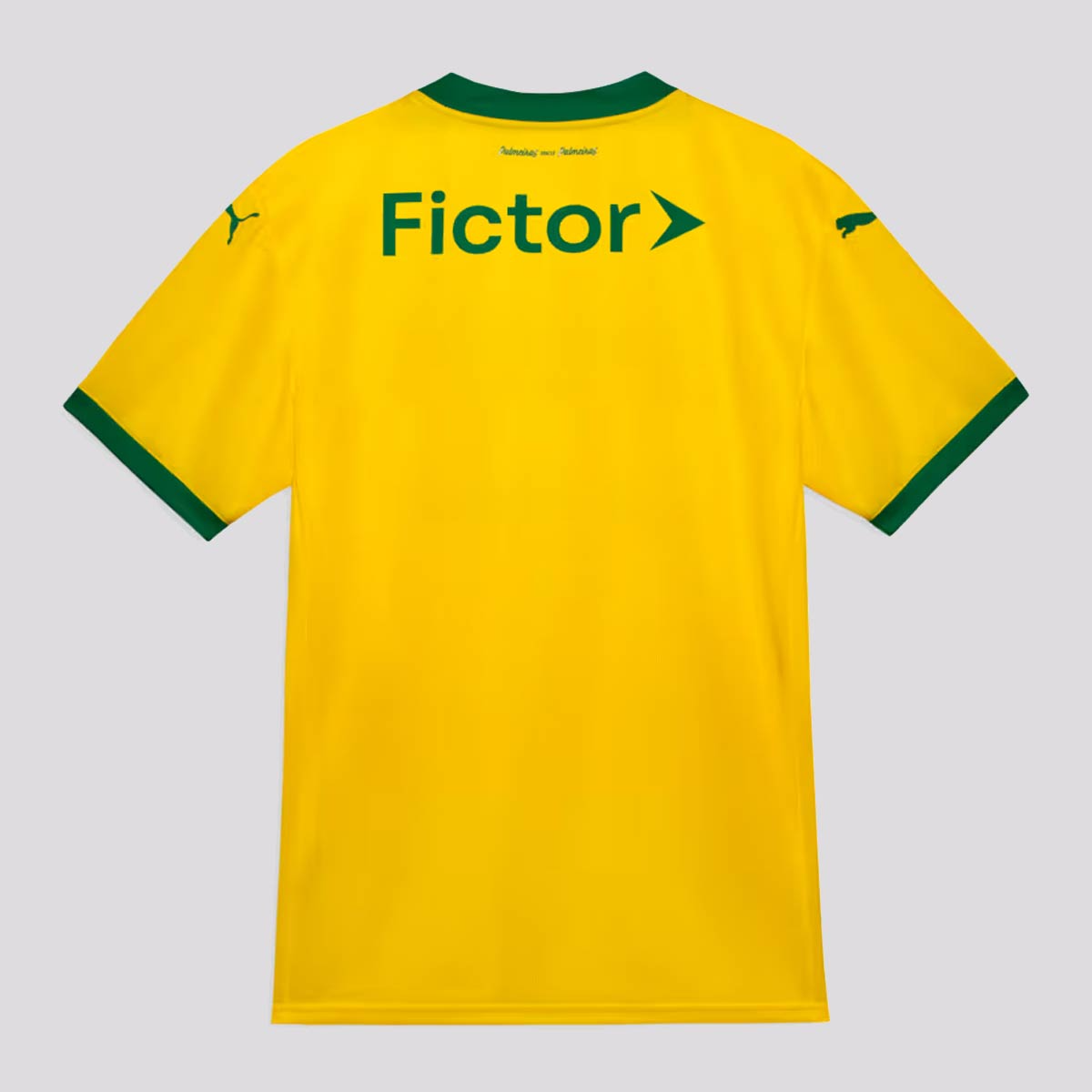Camisa Masculina Palmeiras Puma III 2025/26 Authentic