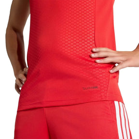 Camiseta Masculina Internacional Treino 2026/27