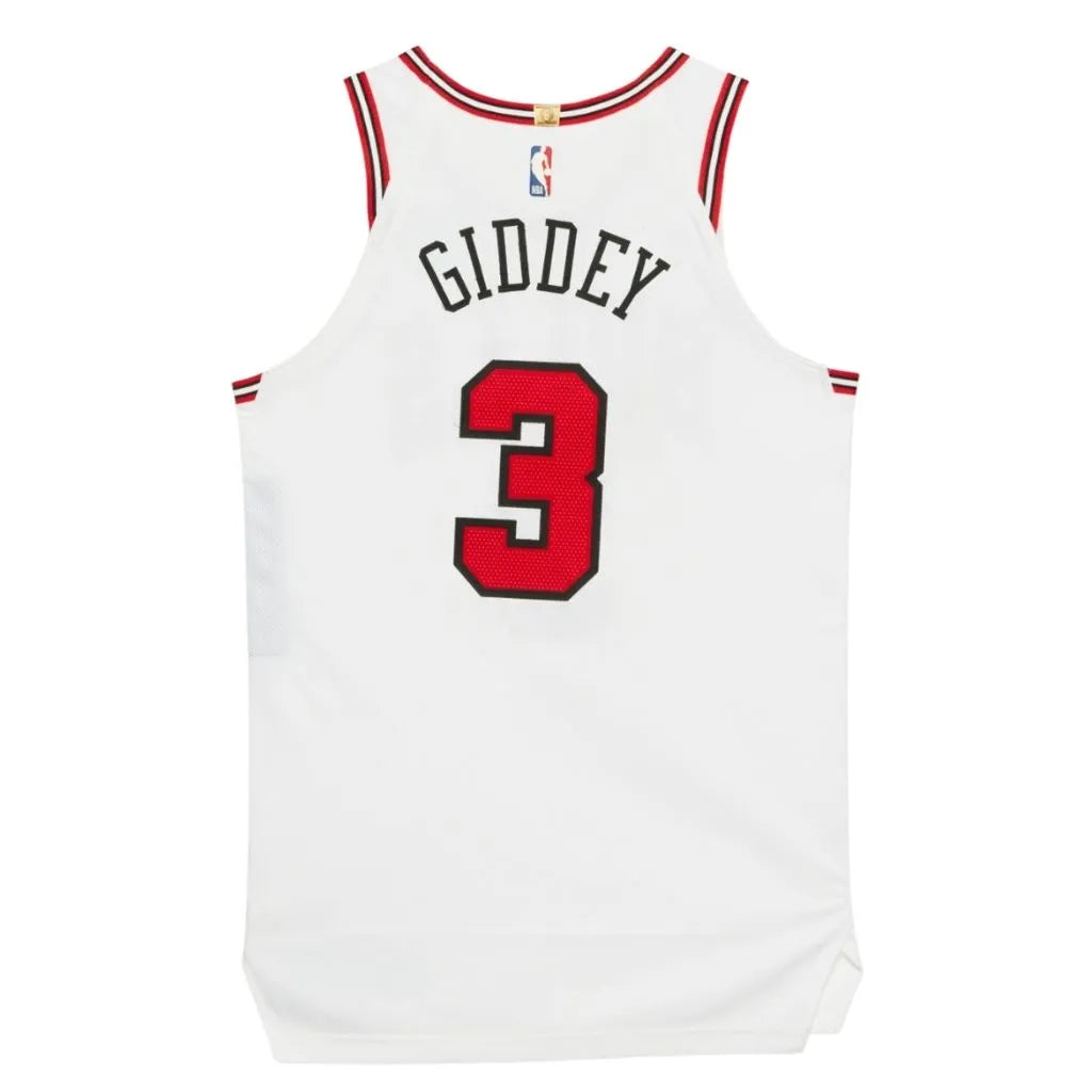 Camiseta NBA Chicago Bulls Association Edition