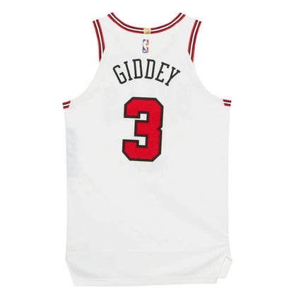 Camiseta NBA Chicago Bulls Association Edition