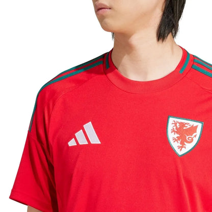 Camisa Masculina País de Gales I 25