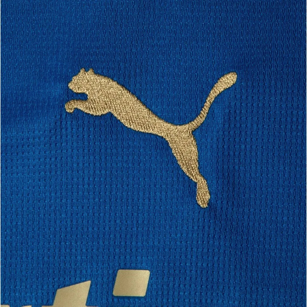 Camisa Masculina Palmeiras Puma III 2026/27