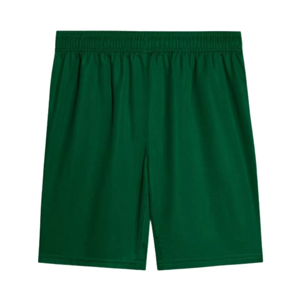 Short Masculino Palmeiras Puma II 2025
