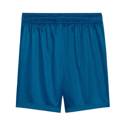Short Masculino Palmeiras Puma III 2025