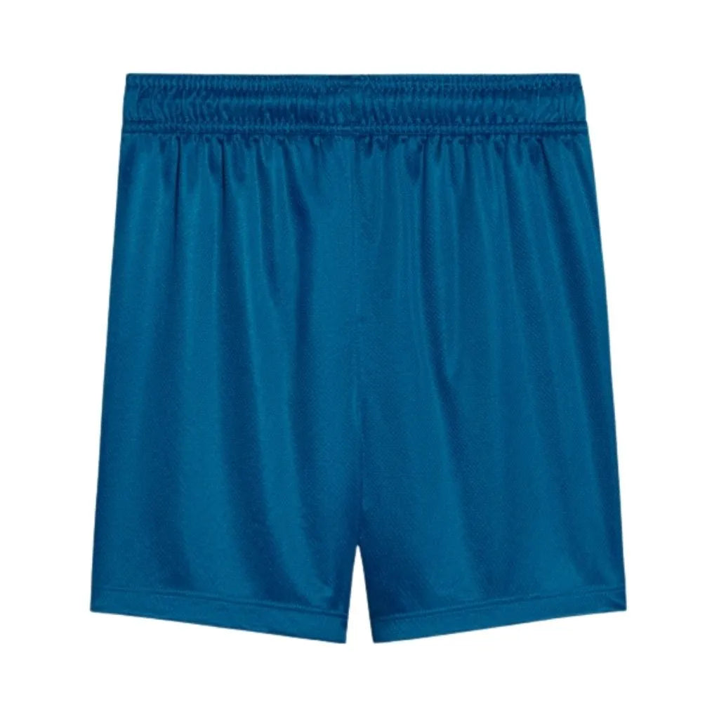 Short Masculino Palmeiras Puma III 2025