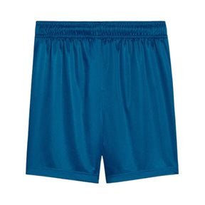 Short Masculino Palmeiras Puma III 2025
